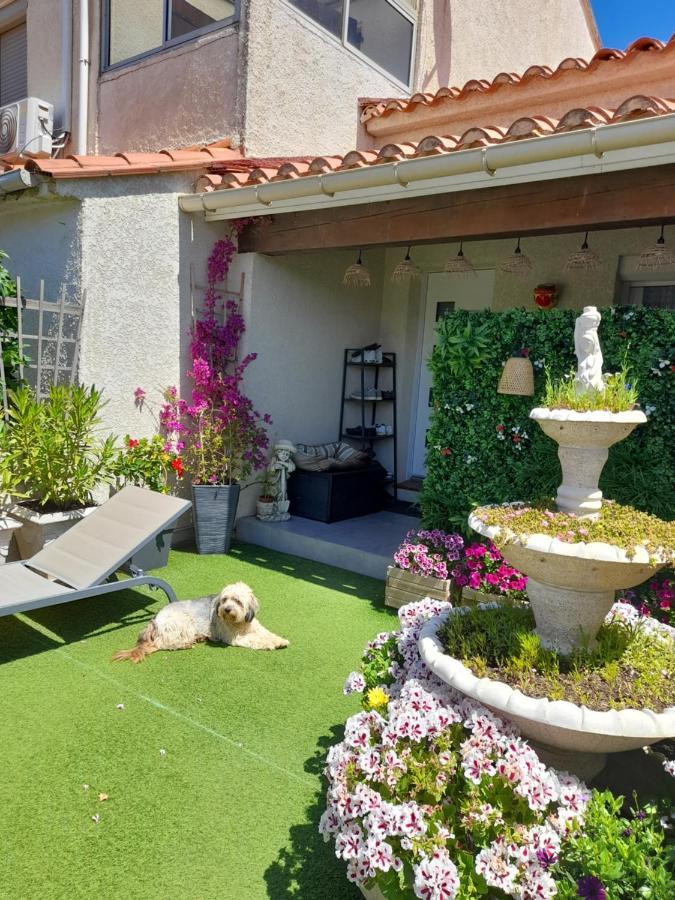 Les Pieds Dans L'Eau Apartment Sainte-Marie-la-Mer Bagian luar foto